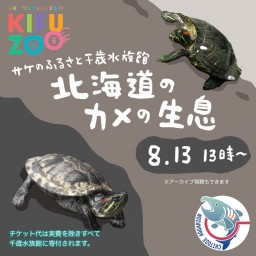 KIFUZOO千歳水族館「北海道のカメの生息」