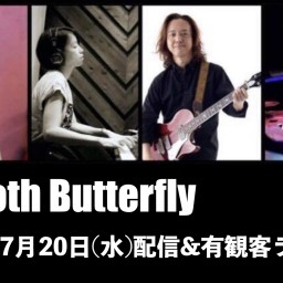 Smooth Butterfly 7/20