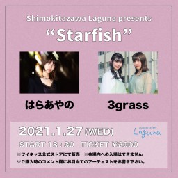 『Starfish』2021.1.27