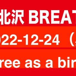 2022-12-24（昼） free as a bird