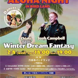 Winter Dream FantasyAloha Night