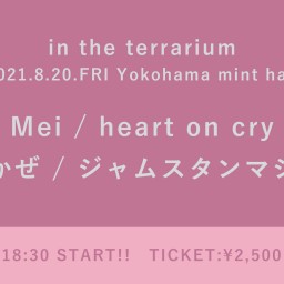 【8/20】in the terrarium