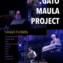 Gato Maula Project