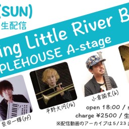 5/9 Shining Little River Bank