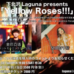 Yellow Roses!!!