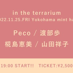 【2022/11/25】in the terrarium