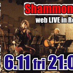 Shammon(Z) web LIVE  in Rose2