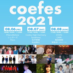 (8/8)coefes 2021~Day3~