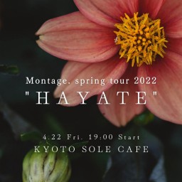 tour 2022 “HAYATE”京都 sole cafe