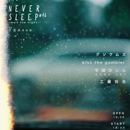 NEVER SLEEP - melt the night -