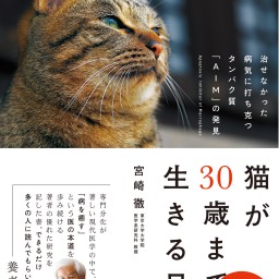 宮崎徹『猫が30歳まで生きる日』オンライントークイベント