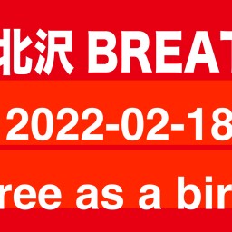 2021-02-18 Free as a bird