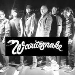 Waritsnake(購入フォーム)