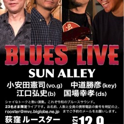 Sun Alley Live 12.9