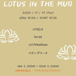 Lotus in the mud