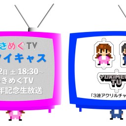 ゆきめぐTV2周年記念生配信!!グッズ付きプレミアムチケット