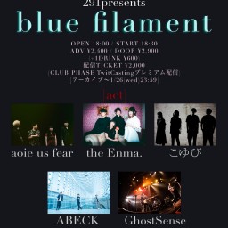 2022.1.19 blue filament