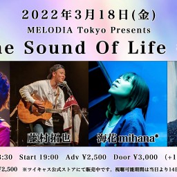 【The Sound Of Life #3】