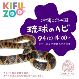 KIFUZOO 沖縄こどもの国「琉球のヘビ」