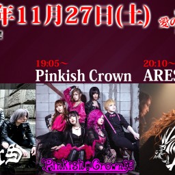 11/27 ARESZ,Pinkish Crown,ANGERS