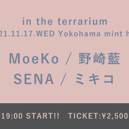 【11/17】in the terrarium