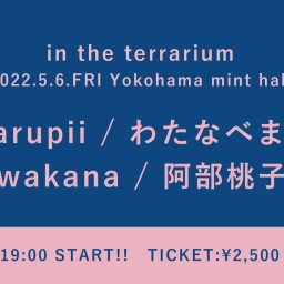 【5/6】in the terrarium