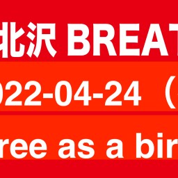 2022-04-24（夜）   Free as a bird