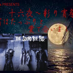 THE SOUND BEE HD Live(9/10ナルシス)