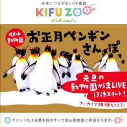 KIFU ZOO 旭山動物園「お正月ペンギンさんぽ」