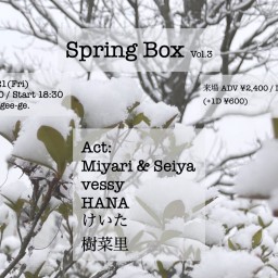 Spring Box Vol.3