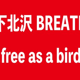 「Free as a bird 」