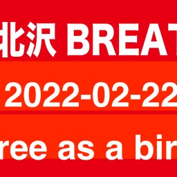 2022-02-22 Free as a bird