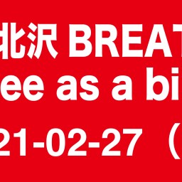 2021-02-27（昼）  Free as a bird