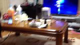 2014/06/06 23:41:28