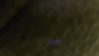 2025/01/31 17:24:04