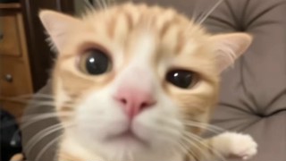 2025/07/03 23:45:00