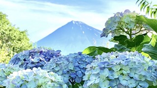 2025/06/17 19:13:10