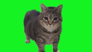 2025/06/12 23:59:14