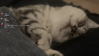 2025/04/07 00:56:33