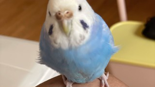 2025/05/18 17:34:50