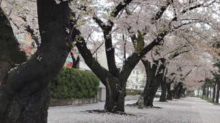 2025/04/30 14:42:40