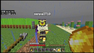 2025/05/12 01:25:37
