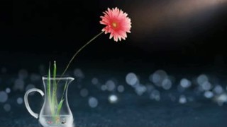 2025/05/10 22:16:36