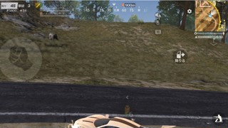 2025/06/29 05:44:17