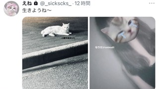 2025/07/01 20:26:55