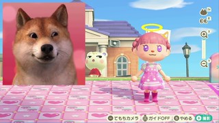 2025/04/11 21:38:22