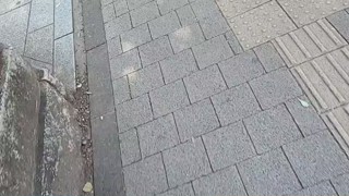 2025/06/20 14:24:37