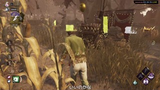 2025/07/05 03:34:54