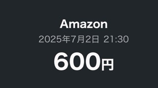 2025/07/03 07:54:17