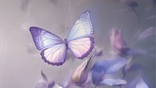 2025/05/06 20:45:51